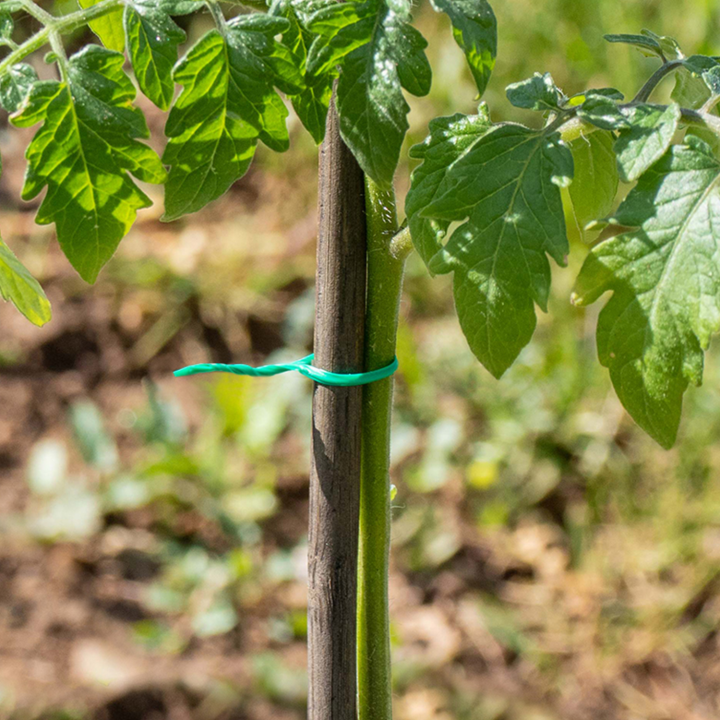 Eslabón de montaje para mosquitera 30 M