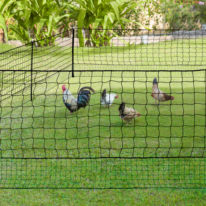 Kit filet à poules 50 M avec 15 piquets