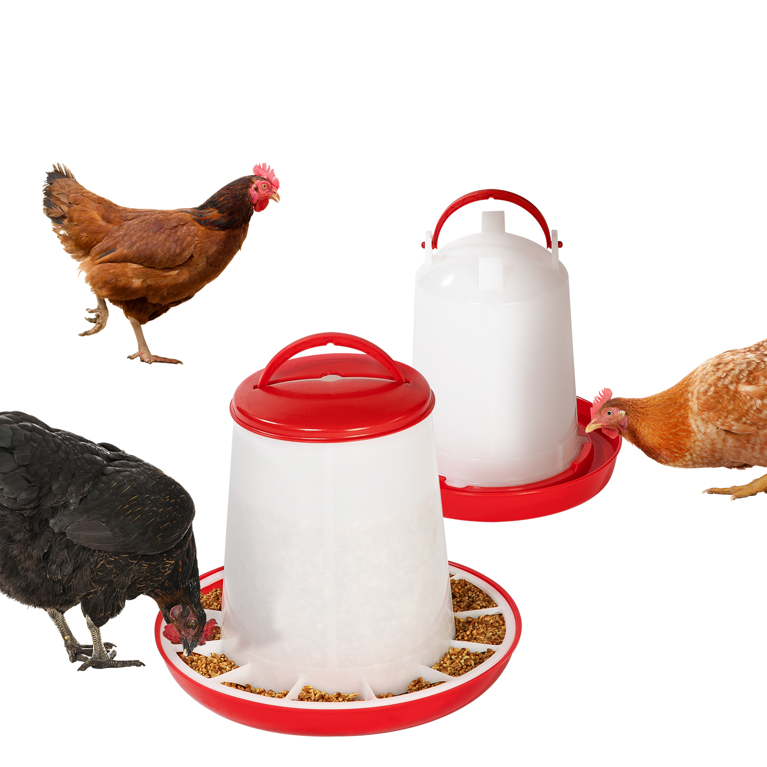 Mangeoire et abreuvoir pour poules pas cher