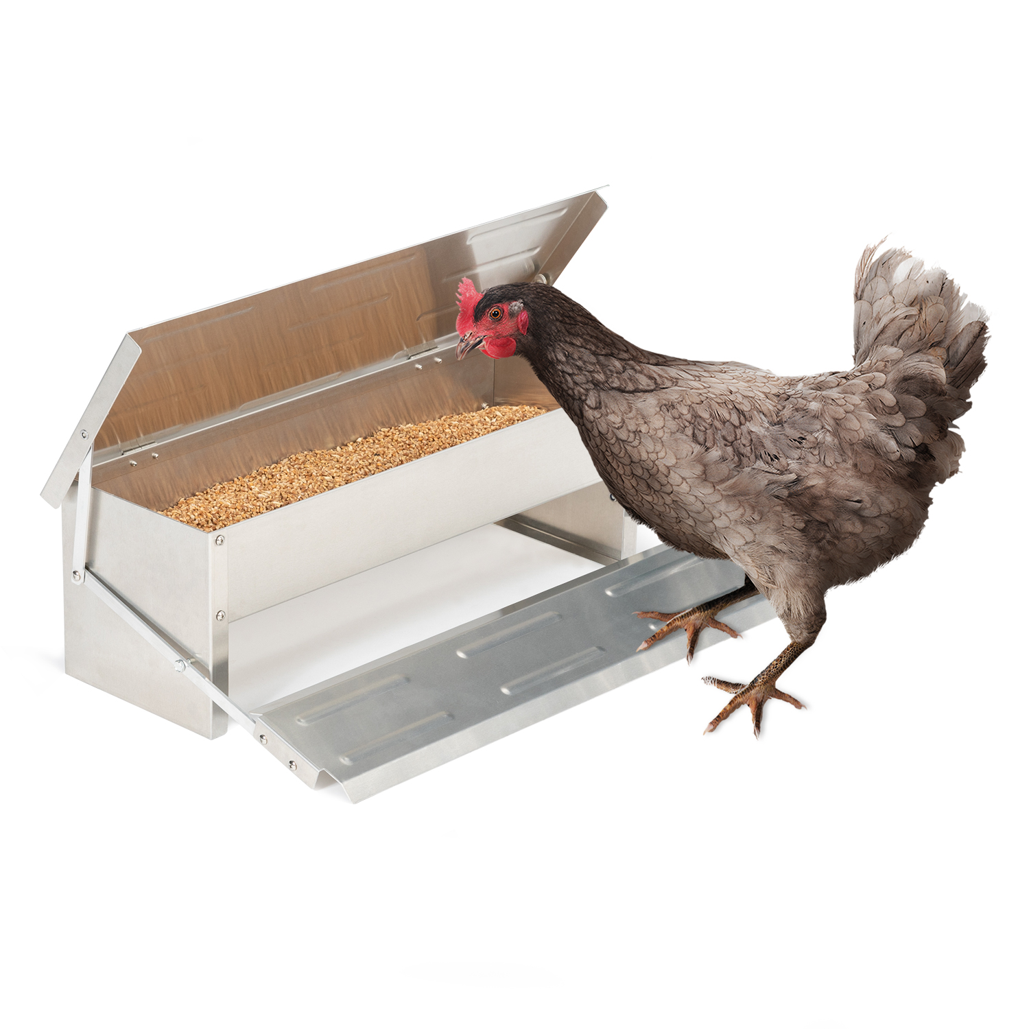 Mangeoire poule Snack Roller recyclée - Chemin des Poulaillers