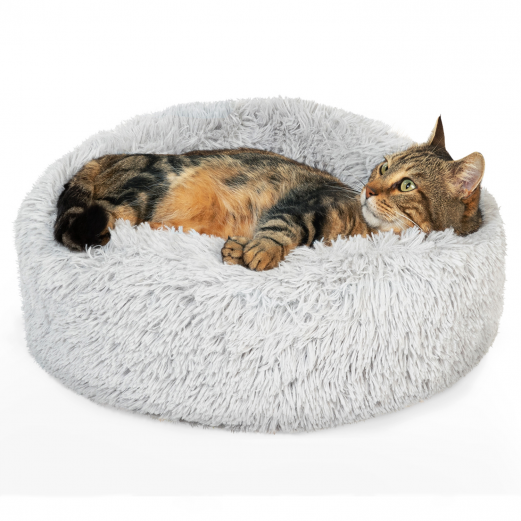 Surrey Wnetrz Polnoc Coussin De Chat Crisisresiliencesurvival Com