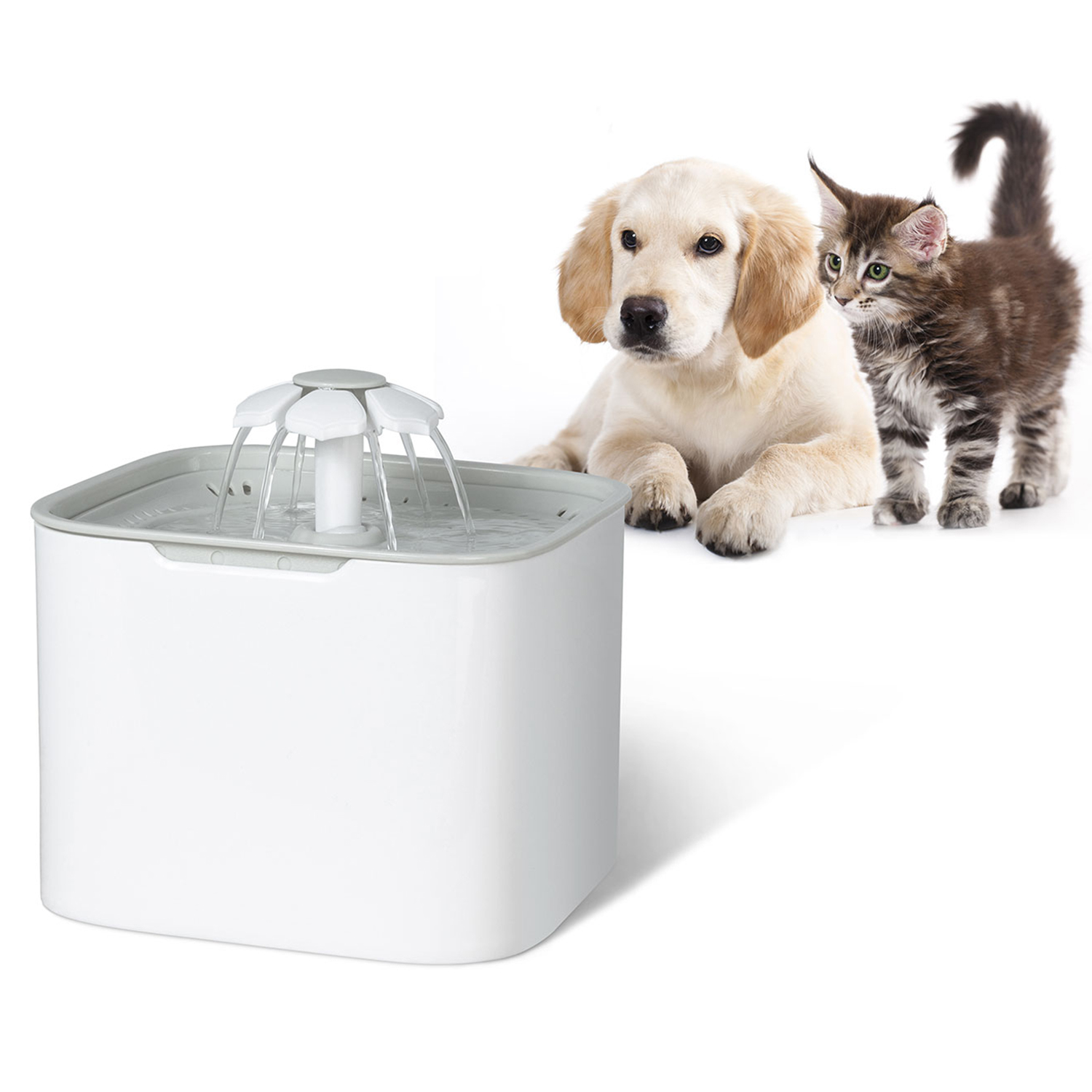 Fontaine A Eau 2l Pour Chien Et Chat Distributeur Automatique