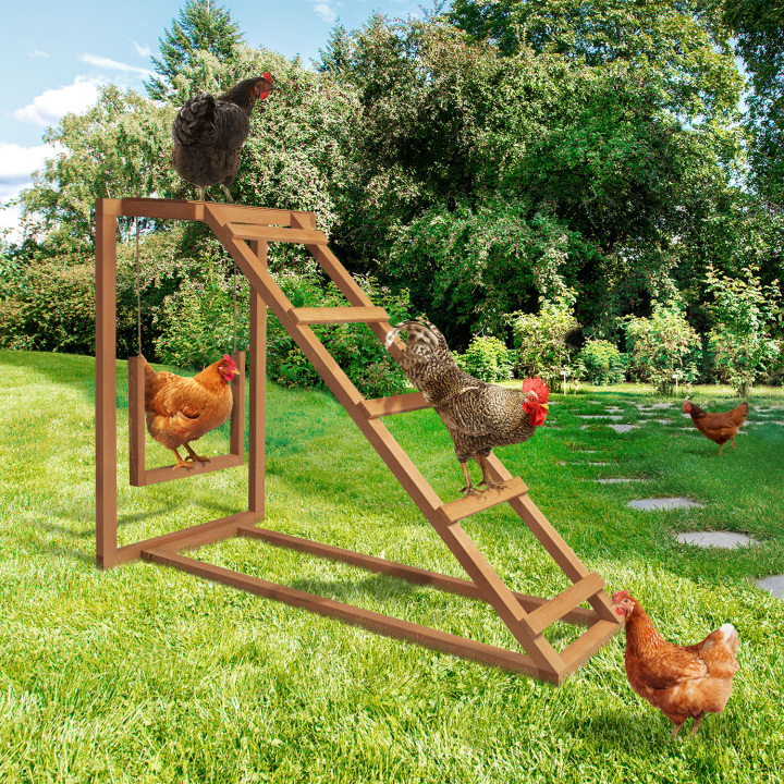 Aire de jeux en bois pour poules avec balançoire et perchoir