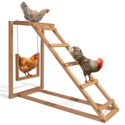 Aire de jeux en bois pour poules avec balançoire et perchoir