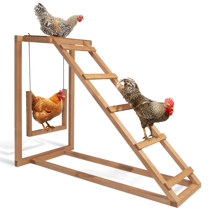 Aire de jeux en bois pour poules avec balançoire et perchoir