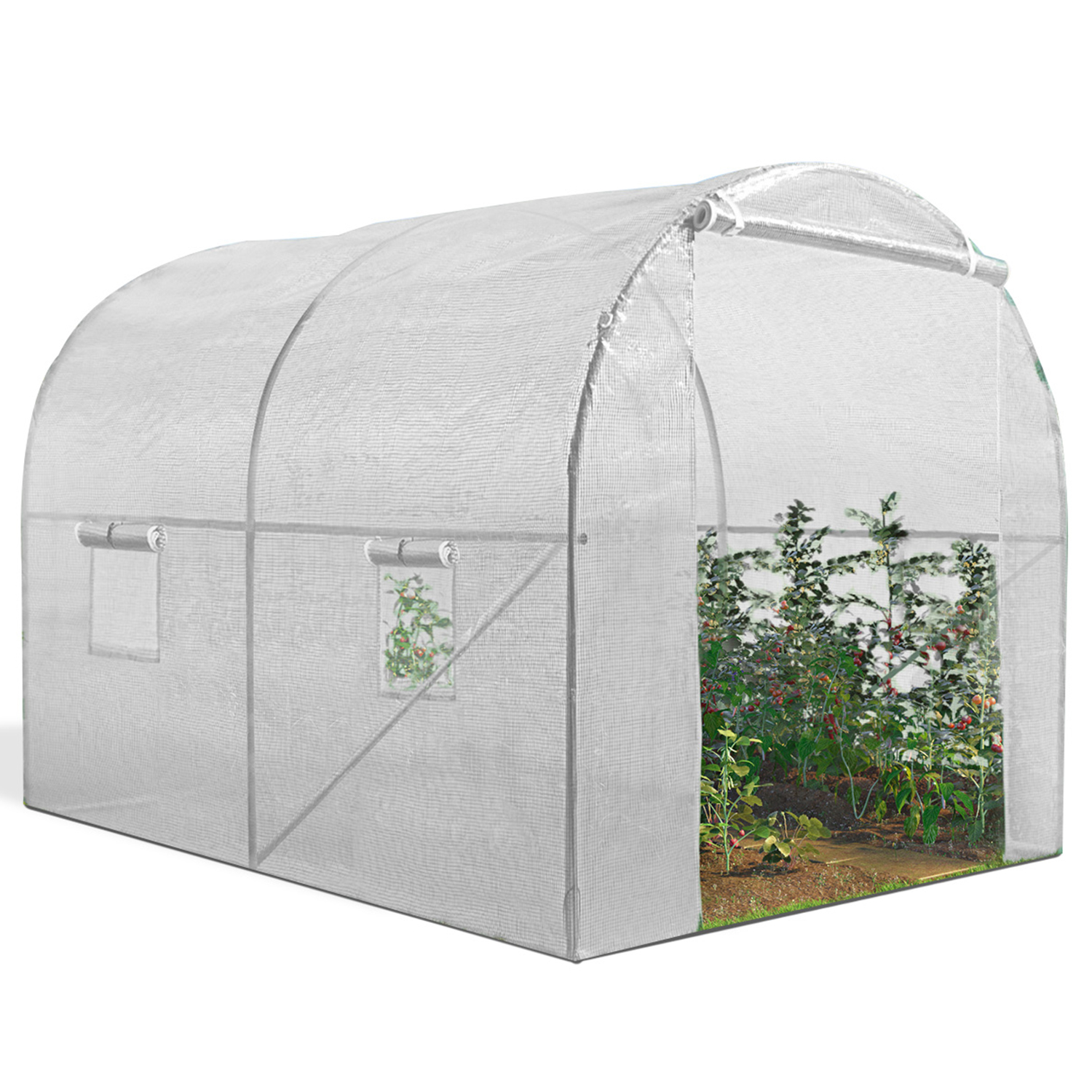 Bâche de protection agricole 170 g/m² - 4 x 6 m - Transparente - petite  serre de jardin - bache imperméable ❘ Bricoman