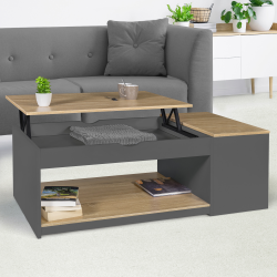 Table basse plateau relevable ELEA avec coffre bois gris et façon hêtre