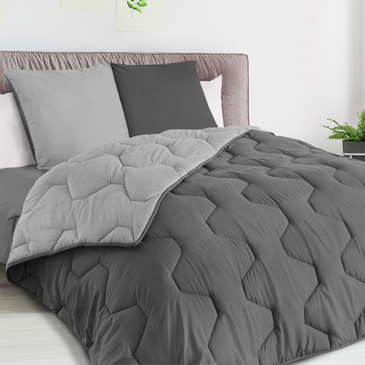 Couette 220x240 CM ABBY bicolore gris clair et gris 300 gr + 2 oreillers