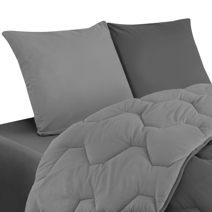 Couette 220x240 CM ABBY bicolore gris clair et gris 300 gr + 2 oreillers