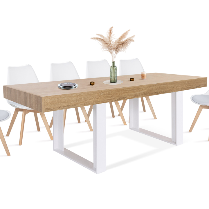 Mesa de comedor de madera y blanco para 10 225 cm - PHOENIX | ID Market