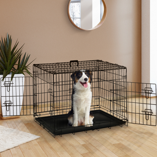 Comment choisir la bonne cage pour votre chien