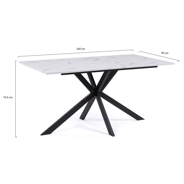 Table à manger rectangle ALIX 8 personnes pied araignée métal noir et plateau effet marbre blanc ALASKA 160 cm