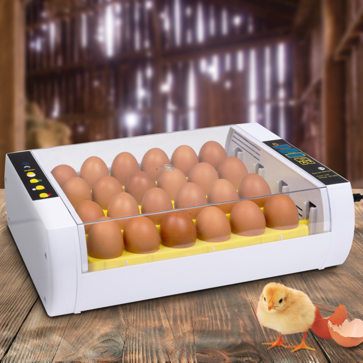 Cheap 24 egg automatic incubator | ID Market