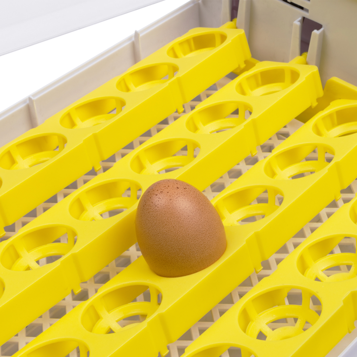 Cheap 24 egg automatic incubator | ID Market