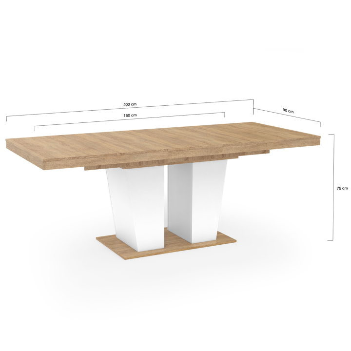 Table à manger extensible rectangle ELIAD 6-10 personnes bois et blanc 160-200 cm