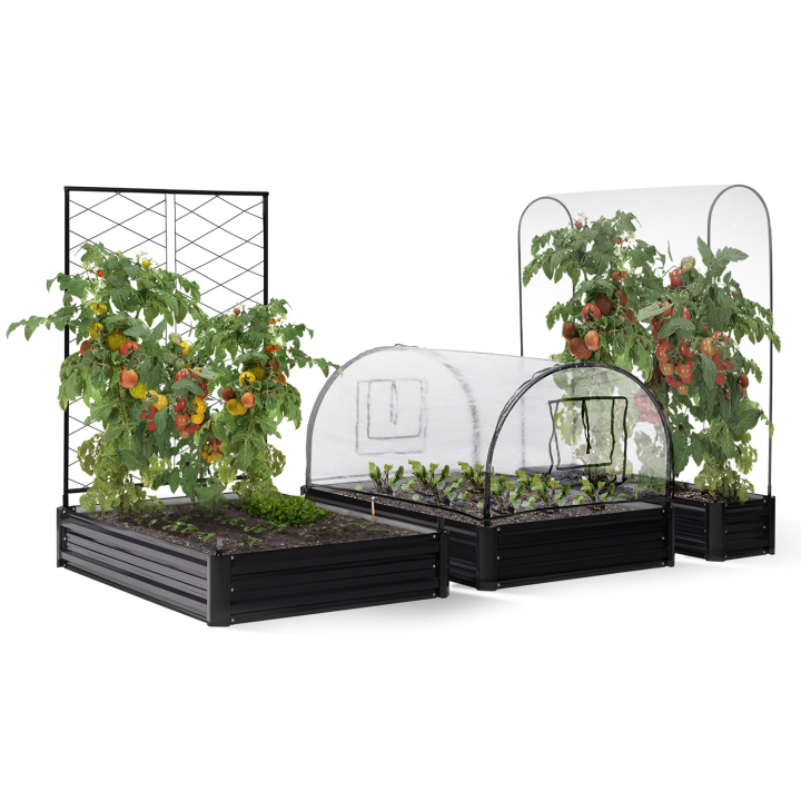 Kit complet 3 bacs métal modulables carrés potager et serre à tomates + treillis + housse