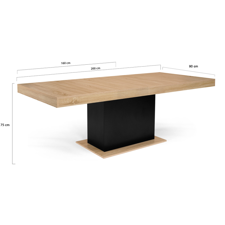 Table à manger extensible rectangle EDEN 6-10 personnes bois et noir 160-200 cm