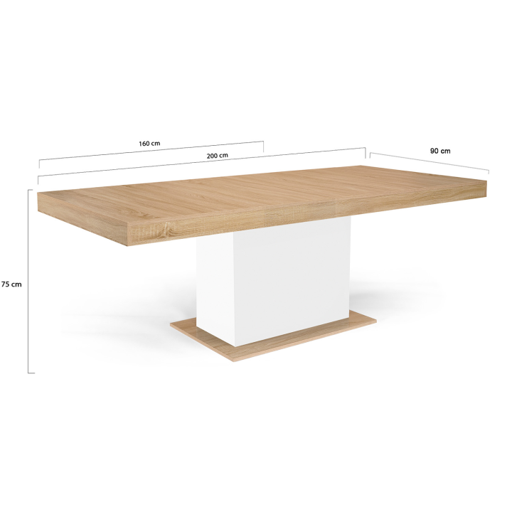 Table à manger extensible rectangle EDEN 6-10 personnes bois et blanc 160-200 cm