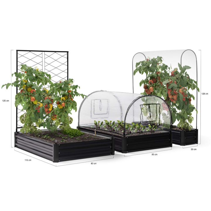 Kit complet 3 bacs métal modulables carrés potager et serre à tomates + treillis + housse