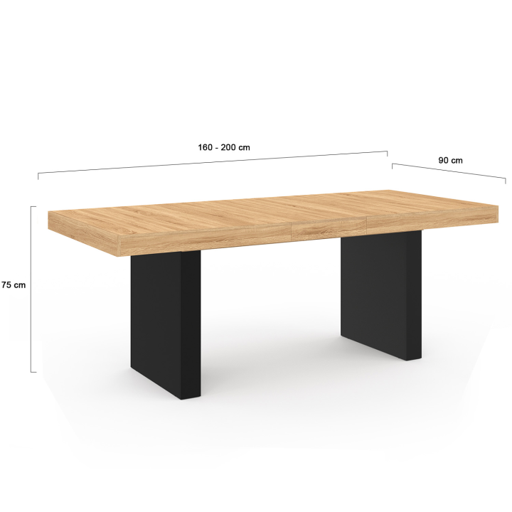 Table à manger extensible rectangle VITO 6-10 personnes bois et noir 160-200 cm 