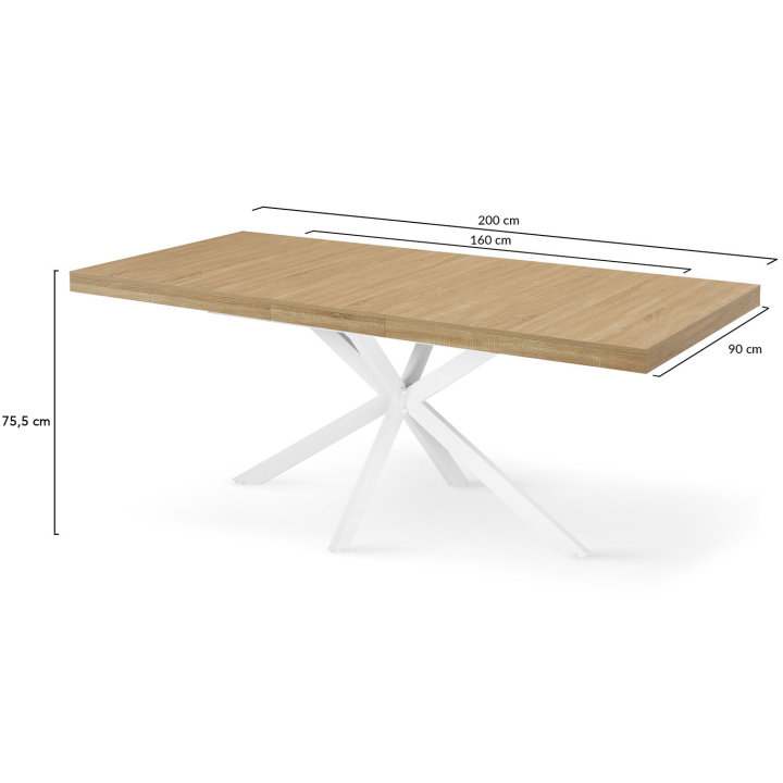 Table à manger extensible rectangle ALIX 6-10 personnes bois et blanc 160-200 cm