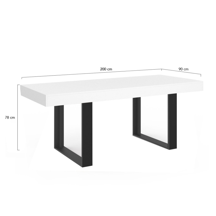 Table à manger rectangle PHOENIX 10 personnes bois blanc 200 cm