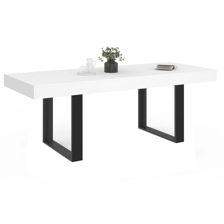 Table à manger rectangle PHOENIX 10 personnes bois blanc 200 cm