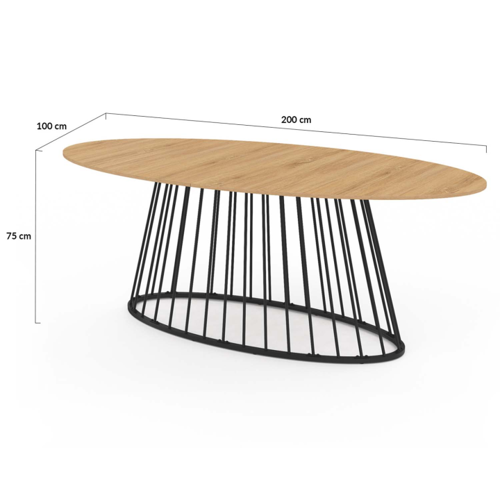 Table à manger ovale YUNA 10 personnes plateau bois et pied filaire en métal noir 200 cm