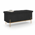 Banc coffre rangement LOUIS avec pieds métal doré 100 cm velours noir