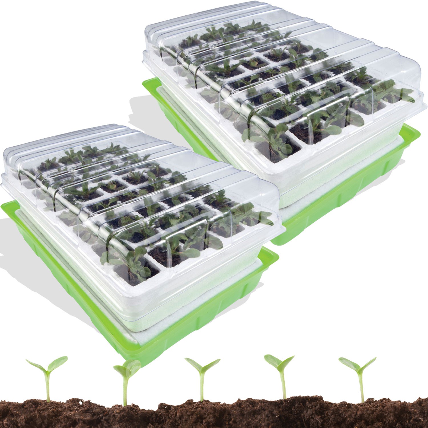 Kit de démarrage pour la germination des plantes à effet de serre