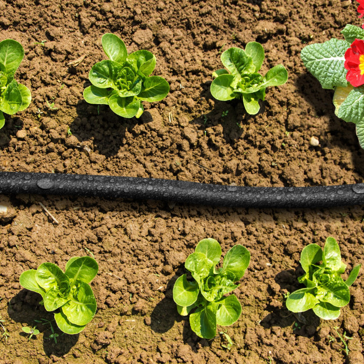 Tuyau micro poreux 25 M goutte à goutte spécial irrigation